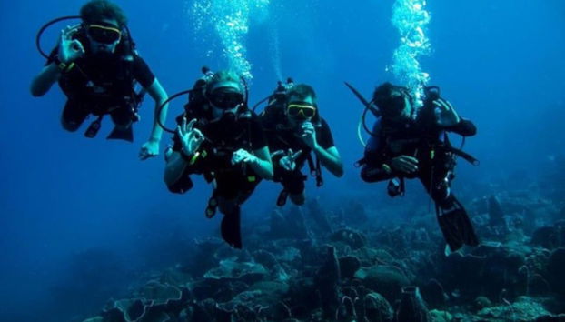 Curso de buceo PADI Open Water - Foto 4