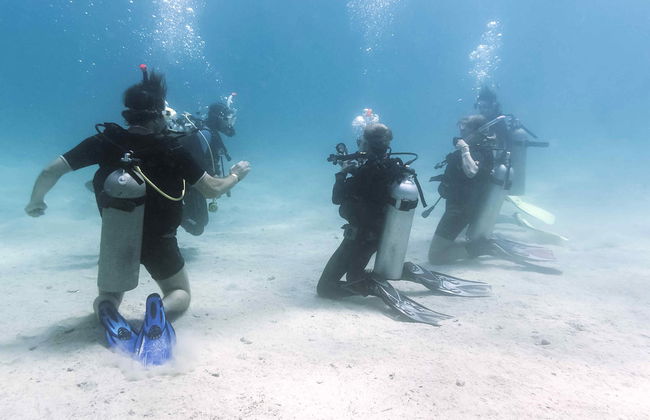 Curso de buceo PADI Open Water - Foto 6