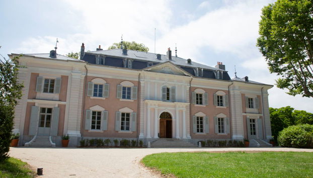 Castle Voltaire Ticket - Foto 3