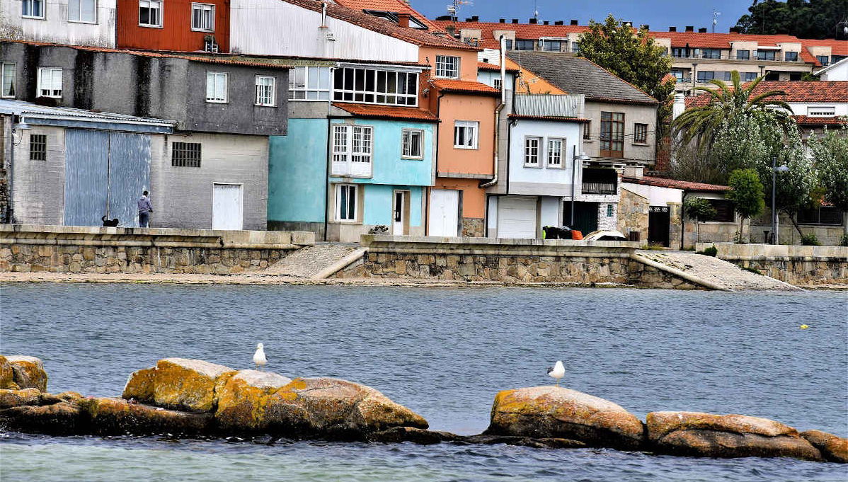 Tour privado por Cambados ¡Tú eliges - Foto 1