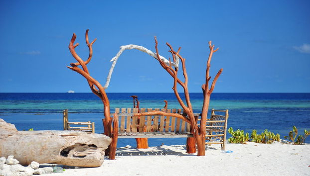 Malé Airport Speedboat Transfer - Foto 2