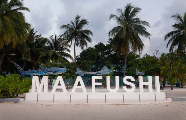 Traslado desde el aeropuerto de Malé en lancha rápida - Foto 5