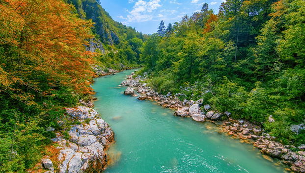 Tour en kayak por el río Isonzo - Foto 5