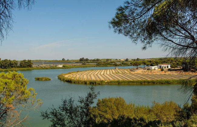 Balade en bateau sur la Ría de Huelva au coucher du soleil - Photo 1