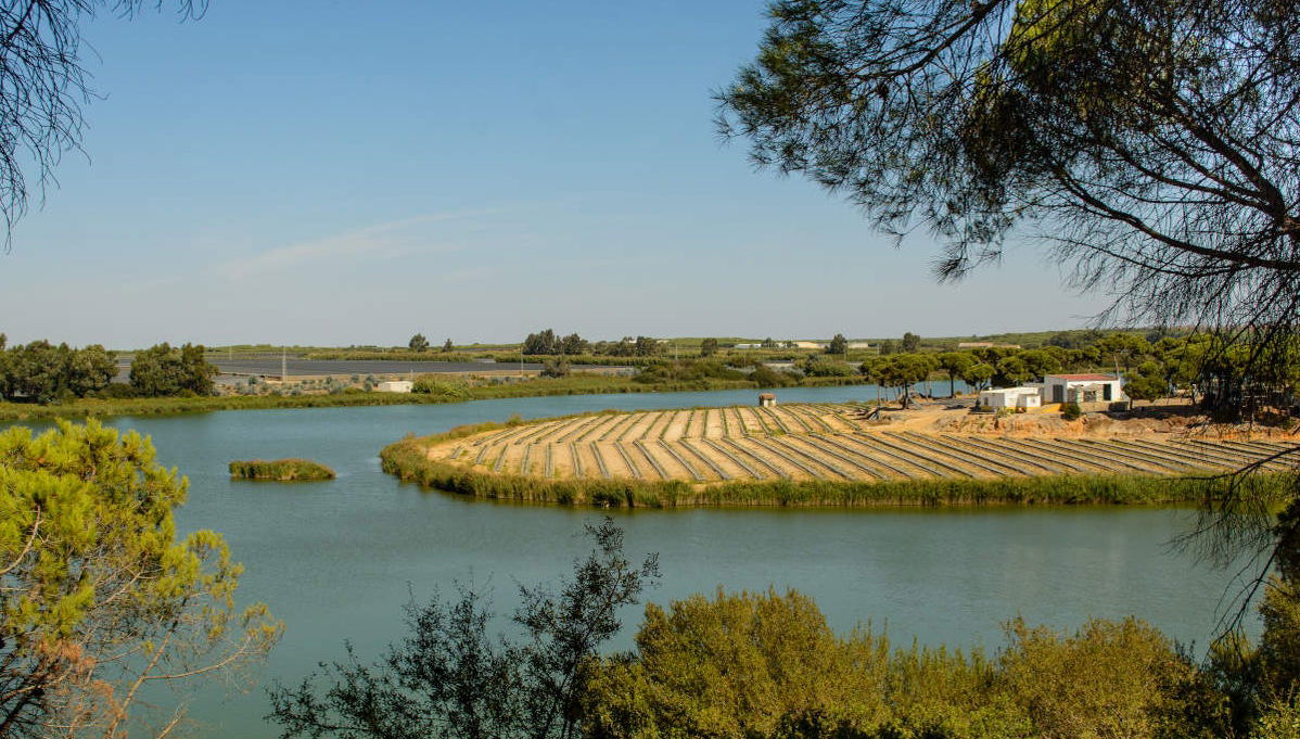 Balade en bateau sur la Ría de Huelva au coucher du soleil - Photo 1