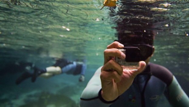 Snorkelling in the Sucuri River - Photo 2