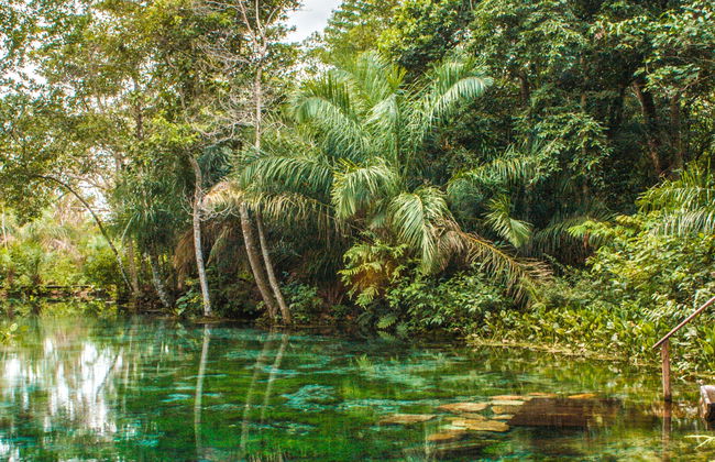 Snorkel en el río Sucuri - Foto 7