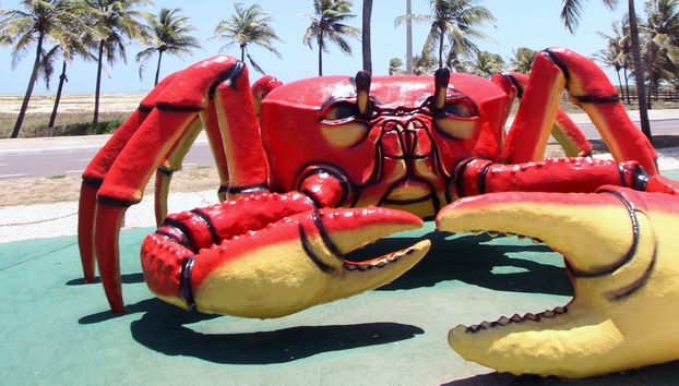 Aracaju Private Tour - Photo 5