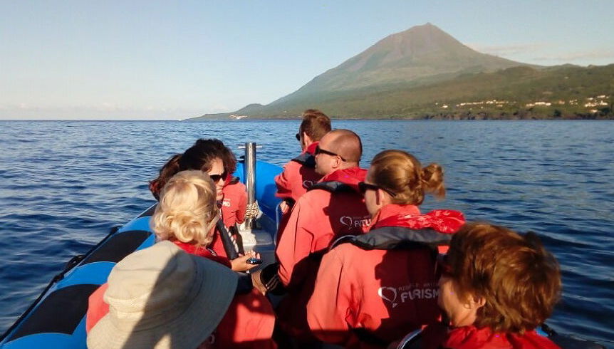 Observation de cétacés sur l'île de Pico - Photo 1