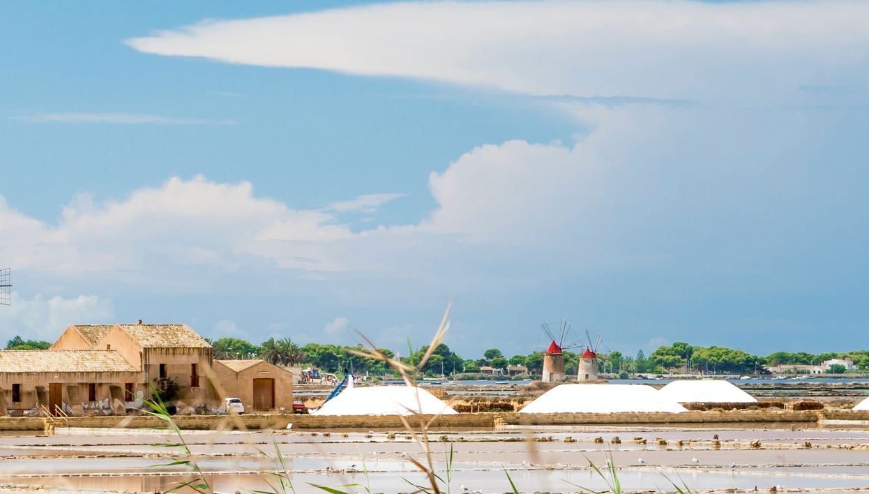 Passeio de barco às salinas de Marsala + Degustação de vinho - Foto 2