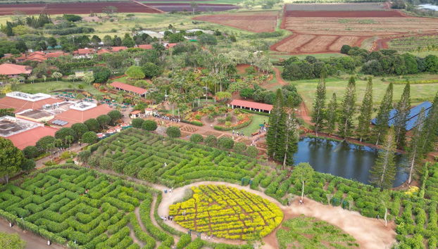 Oahu Island Tour - Photo 5