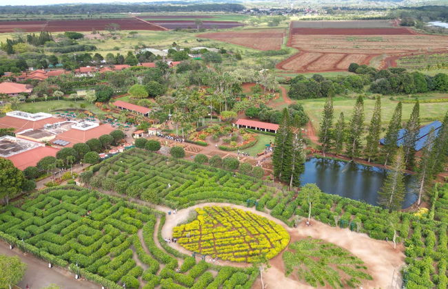 Visite de l'île d'Oahu - Photo 6