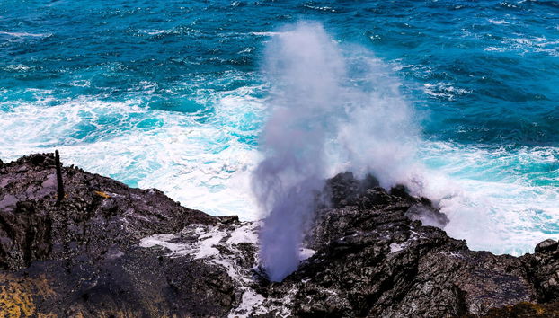 Oahu Island Tour - Photo 4