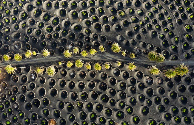 Excursion au sud de Lanzarote - Photo 6