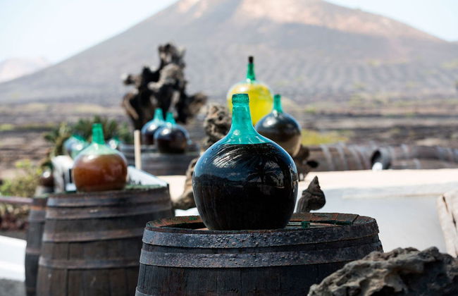 Excursion privée à Lanzarote - Photo 1