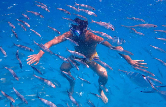 Tour de caiaque + Snorkel en Fuerteventura - Foto 6