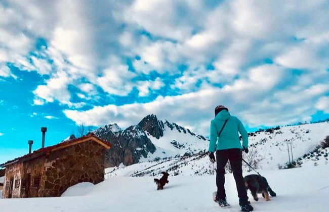 Fuentes de Invierno Snowshoeing Tour - Photo 2