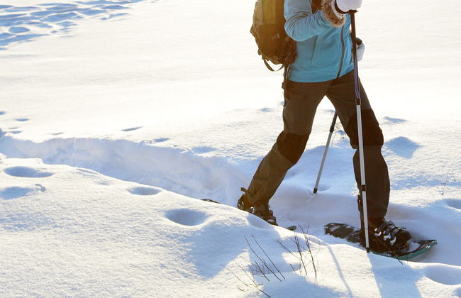 Fuentes de Invierno Snowshoeing Tour - Photo 8