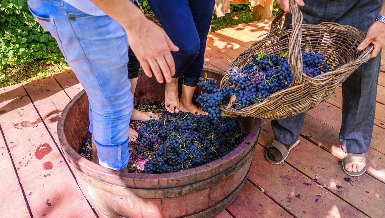 Visit to a Wine Estate with Lunch - Foto 1