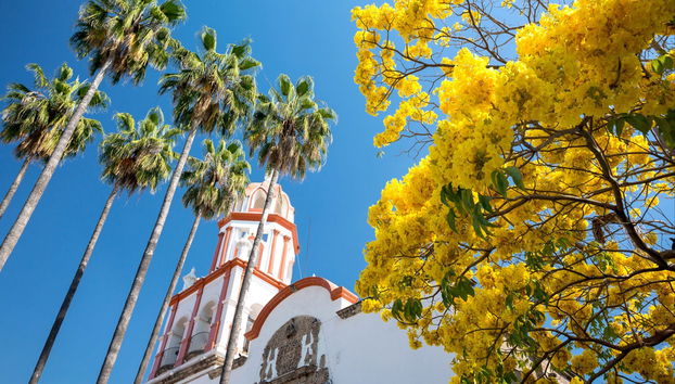 Tlaquepaque Tour - Photo 2