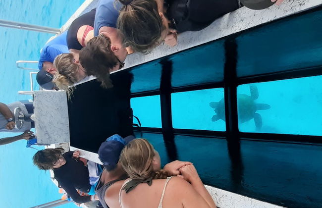 Passeio de barco com fundo de vidro - Foto 2