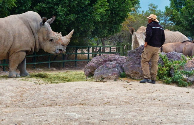 Africam Safari Park Trip - Foto 6