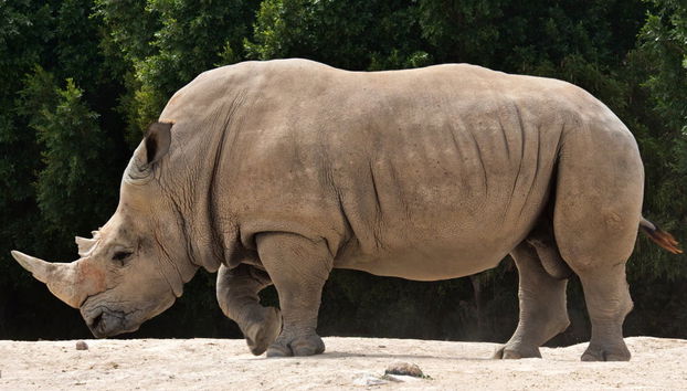 Africam Safari Park Trip - Photo 2