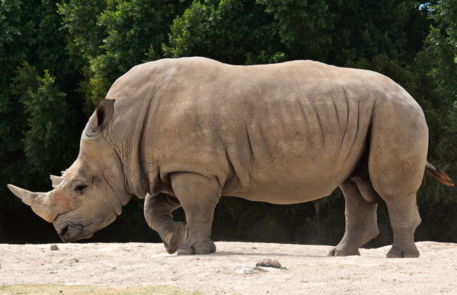 Africam Safari Park Trip - Foto 2