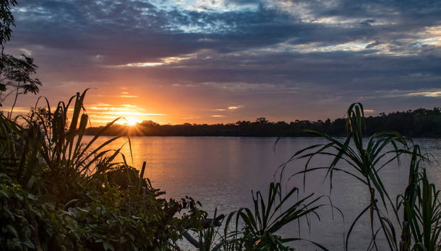 Sunset River Boat + Capybara Watching - Foto 3