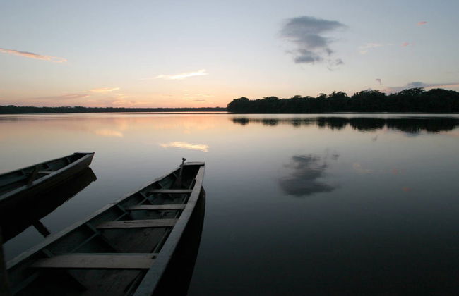 Passeio de barco ao entardecer com avistamento de capivaras - Foto 4
