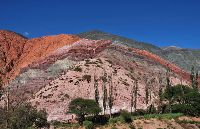 Quebrada de Humahuaca Tour - Foto 1