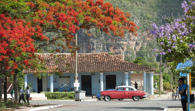 Tour privado en coche clásico por el Valle de Viñales - Foto 3