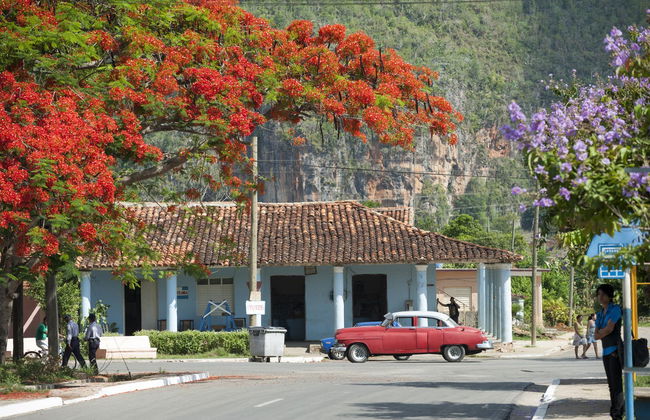 Viñales Valley Private Classic Car Tour - Foto 3
