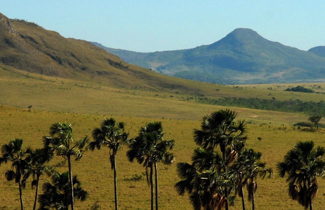 Brazilian Cerrado Day Bike Excursion - Photo 7