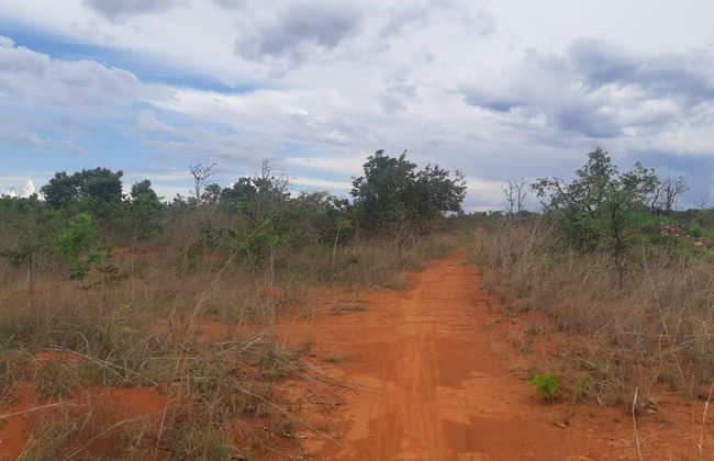 Brazilian Cerrado Day Bike Excursion - Photo 3