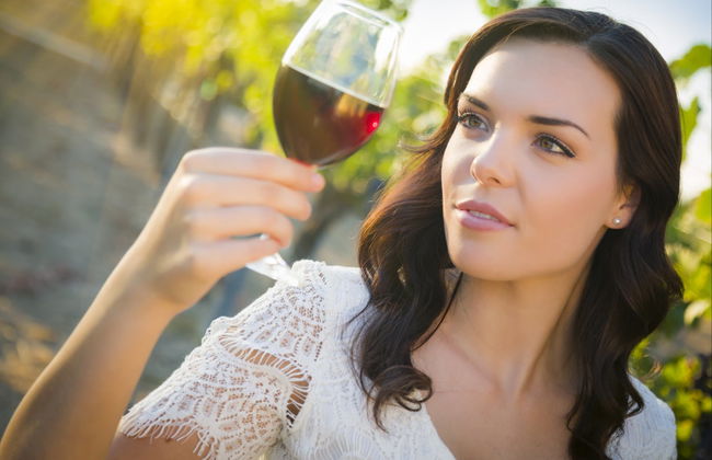 Pic Saint-Loup Excursion + Wine Tasting - Photo 2