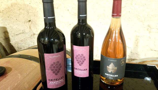 Excursão a uma vinícola de Priorat - Foto 2