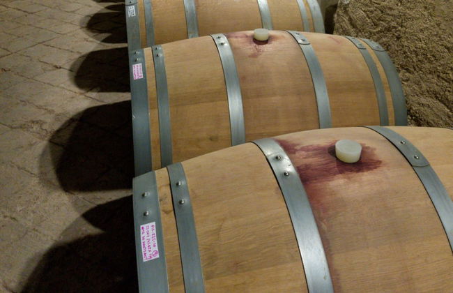Excursión a una bodega del Priorat - Foto 3