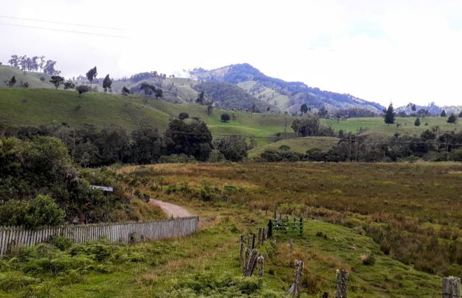 Ruta privada de senderismo por El Bosque + Termales de Canaán - Foto 3