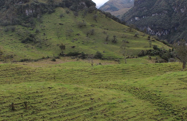 Ruta privada de senderismo por El Bosque + Termales de Canaán - Foto 7
