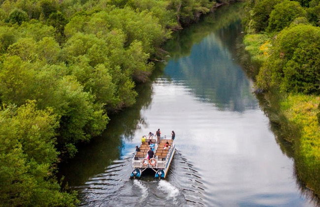 Tour pelo vale do rio Negro - Foto 3