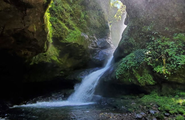 Tour por la Reserva Natural Cueva del Esplendor - Foto 7