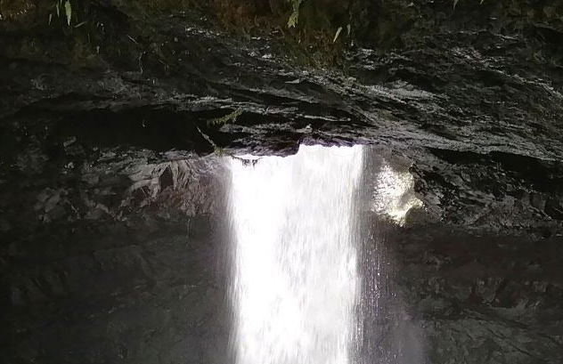 Tour por la Reserva Natural Cueva del Esplendor - Foto 8