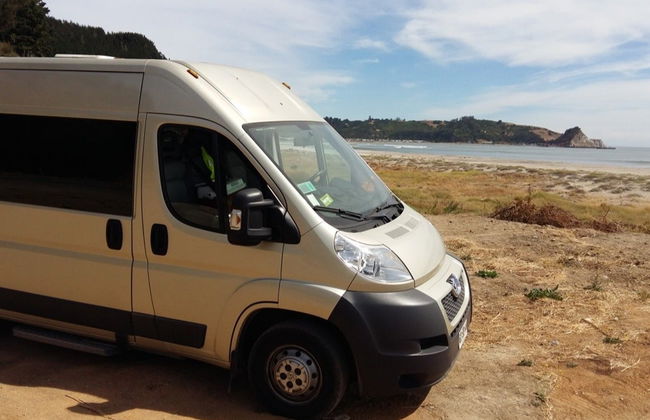 Excursión al golfo de Arauco y sus playas - Foto 1