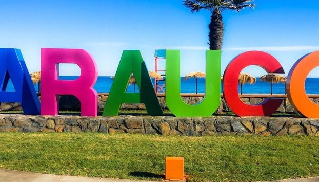 Excursión al golfo de Arauco y sus playas - Foto 4