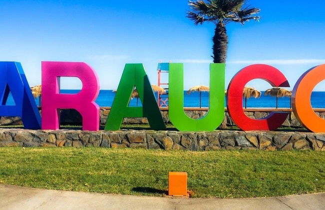 Excursión al golfo de Arauco y sus playas - Foto 4