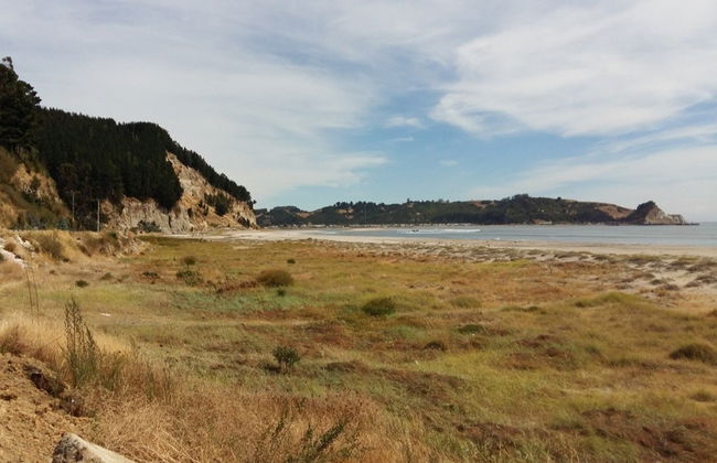 Excursión al golfo de Arauco y sus playas - Foto 2