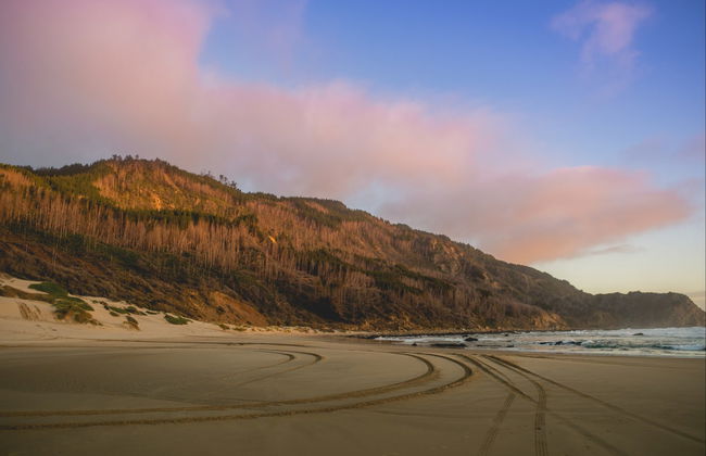 Excursión al golfo de Arauco y sus playas - Foto 1