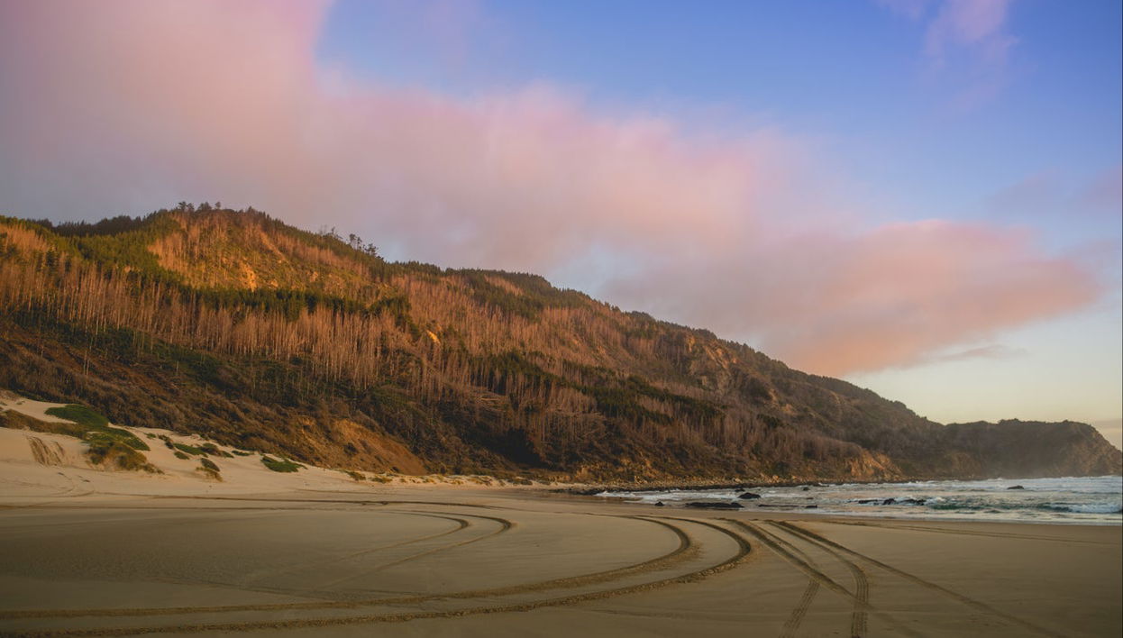 Excursión al golfo de Arauco y sus playas - Foto 1
