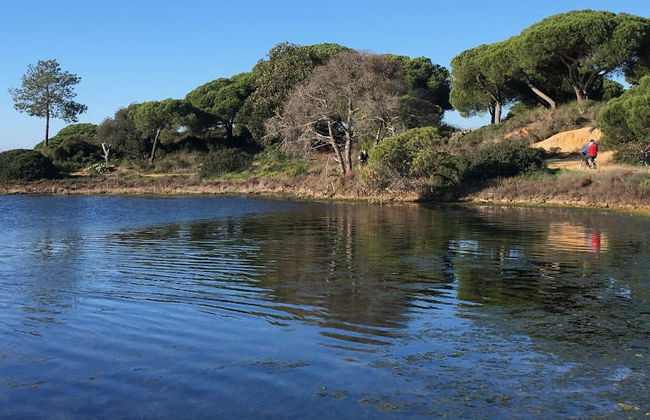 Tour en bicicleta por la Ría Formosa - Foto 9
